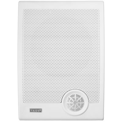 Настенная акустическая система TADS DS-636