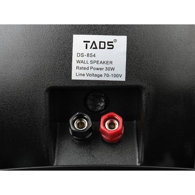 Настенная акустическая система TADS DS-854-Black, изображение 6
