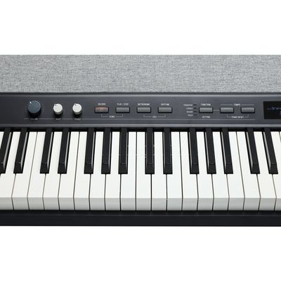 Цифровое пианино Kurzweil KA P1 LB, изображение 4