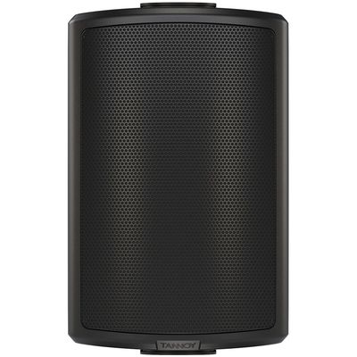 Пассивная акустическая система Tannoy AMS 5ICT