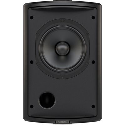 Пассивная акустическая система Tannoy AMS 6ICT, изображение 2