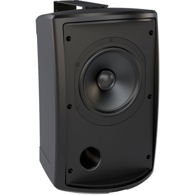 Пассивная акустическая система Tannoy AMS 6ICT, изображение 4