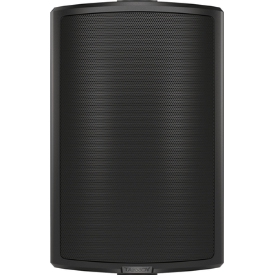 Пассивная акустическая система Tannoy AMS 6ICT LS