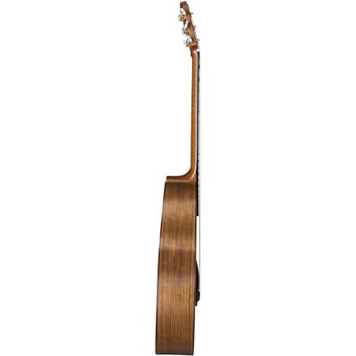 Гитара акустическая Baton Rouge AR31S/JC-AM, изображение 3