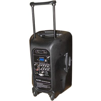 Переносная акустическая система Soundking WJ12A, изображение 3