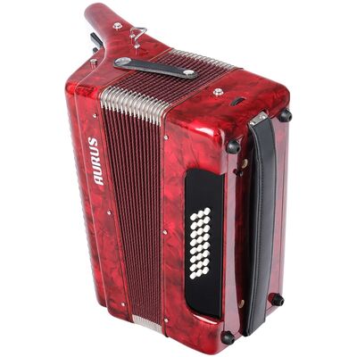 Аккордеон Aurus JH2019-R 32/24, изображение 5