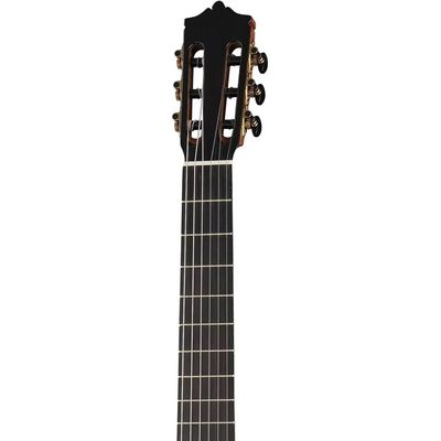 Гитара классическая Martinez MC-20S-615, изображение 3