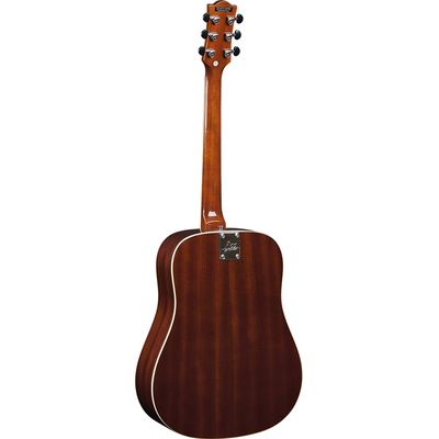 Гитара акустическая Eko Ranger VI VR Honey Sunburst, изображение 2