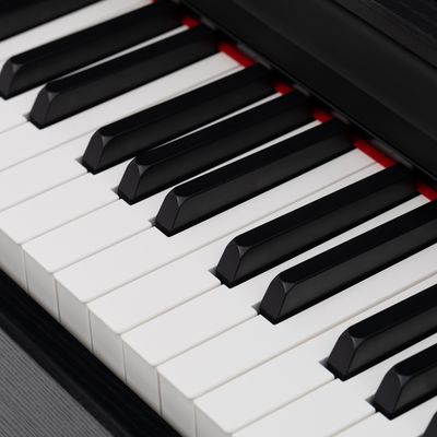 Цифровое пианино Rockdale Sonata Rosewood, изображение 10