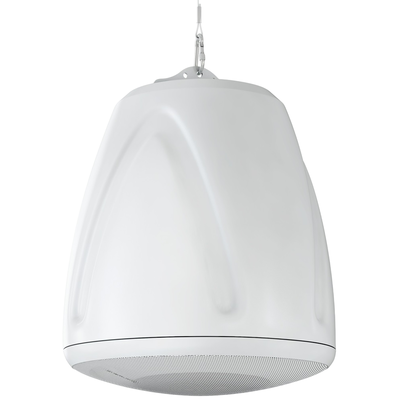 Пассивная акустическая система CVGaudio CS608TW