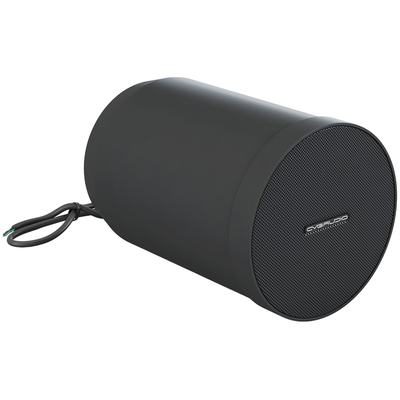 Пассивная акустическая система CVGaudio SPC5TBL, изображение 5