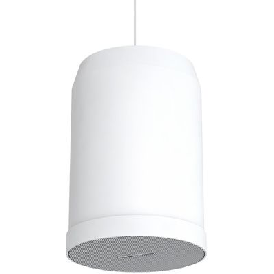 Пассивная акустическая система CVGaudio SPC5TW