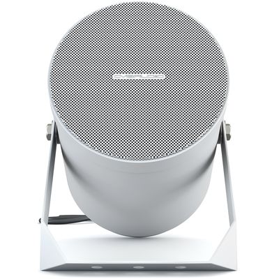Пассивная акустическая система CVGaudio SPP5T