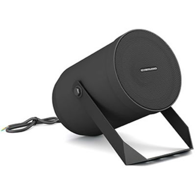 Пассивная акустическая система CVGaudio SPP6TBL, изображение 2