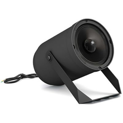 Пассивная акустическая система CVGaudio SPP6TBL, изображение 4