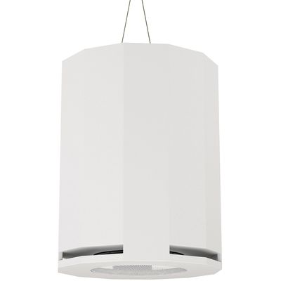 Сабвуфер CVGaudio SUBone DH-8W/CR/T