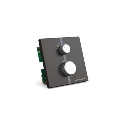 Регулятор громкости CVGaudio WP-4BL