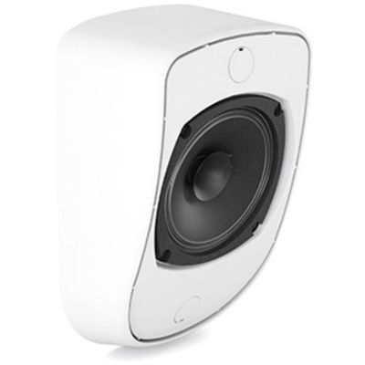 Пассивная акустическая система CVGaudio WPL6TW, изображение 2