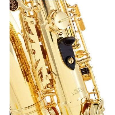 Саксофон Buffet Crampon Prodige BC8101-1-0, изображение 10