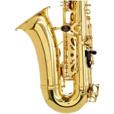 Саксофон Buffet Crampon Prodige BC8101-1-0, изображение 4