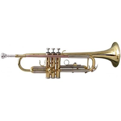 Труба Soundsation STPGD-10