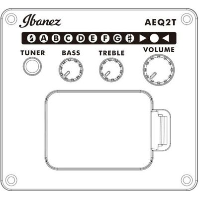 Гитара электроакустическая Ibanez AE100-BUF, изображение 5