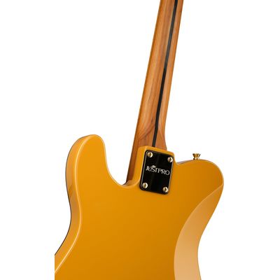 Электрогитара Justpro TCSE-RMA01-BG, изображение 6