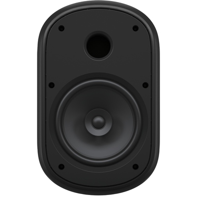 Пассивная акустическая система Tannoy DVS 801, изображение 2