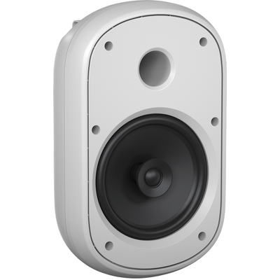 Пассивная акустическая система Tannoy DVS 801-WH, изображение 4