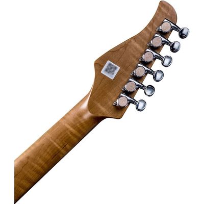 Электрогитара GTRS P801 GR, изображение 5