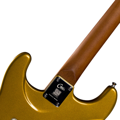 Электрогитара GTRS S801 GD, изображение 3