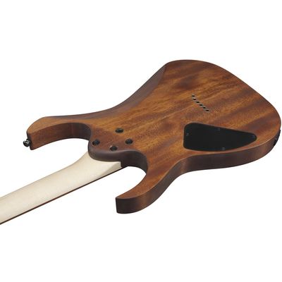 Электрогитара Ibanez RG421-MOL, изображение 3