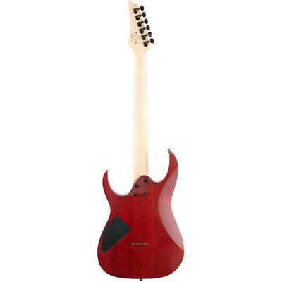 Электрогитара Ibanez RG421PB-CHF, изображение 4
