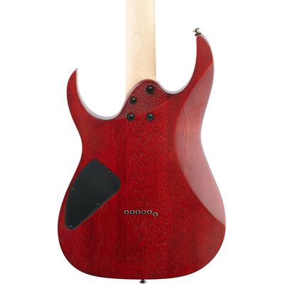 Электрогитара Ibanez RG421PB-CHF, изображение 5