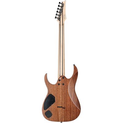 Электрогитара Ibanez RGR5221-TFR, изображение 4