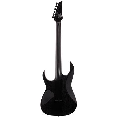 Электрогитара Ibanez RGRT421-WK, изображение 4