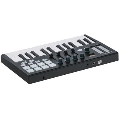 MIDI клавиатура LAudio PANDAMINI-II, изображение 4