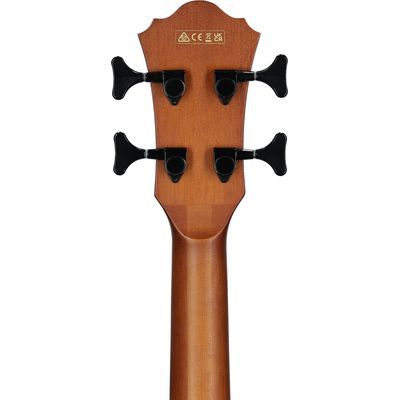 Электроакустическая бас-гитара Ibanez AEGB24E-MHS, изображение 6
