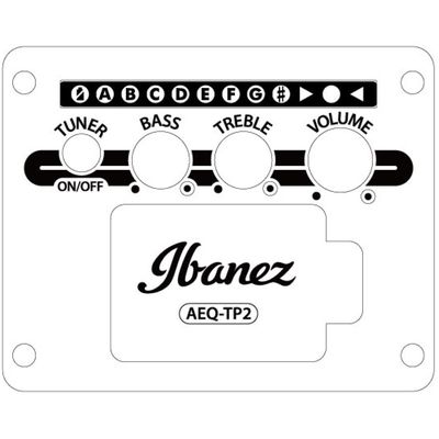 Гитара электроакустическая Ibanez AW65ECE-LG, изображение 7