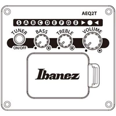 Гитара электроакустическая Ibanez TCY10E-BK, изображение 7