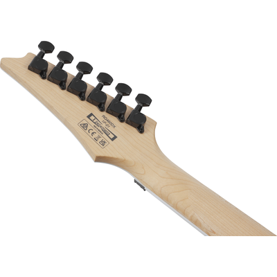 Электрогитара Ibanez RG460DX-BLH, изображение 8