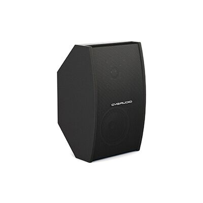 Активная акустическая система CVGaudio AXE5:DANTE-BL