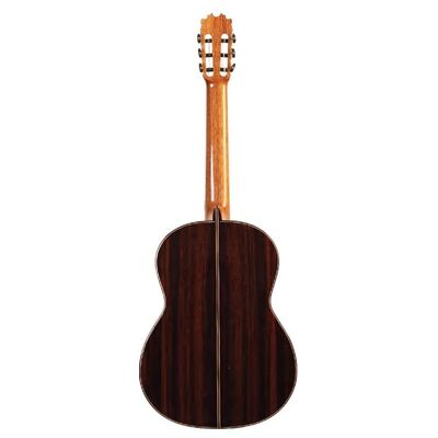 Гитара классическая Martinez MM12, изображение 2
