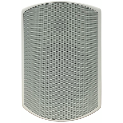 Пассивная акустическая система SVS Audiotechnik WSP-6W PRO