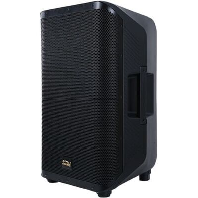 Активная акустическая система Soundking Y15P, изображение 2