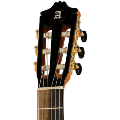 Гитара классическая Alhambra 8.896 Green Sustain Flamenco, изображение 5