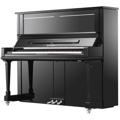 Фортепиано Wendl&Lung V133BK