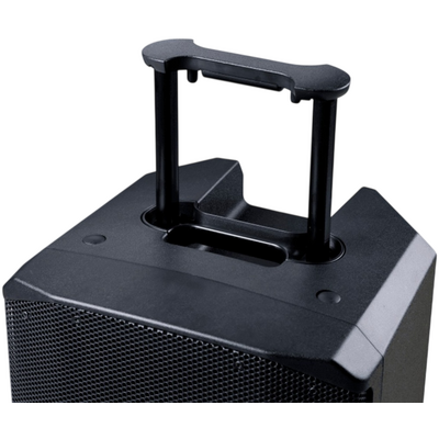Портативная акустическая система Soundsation Provibe-12AIR, изображение 4