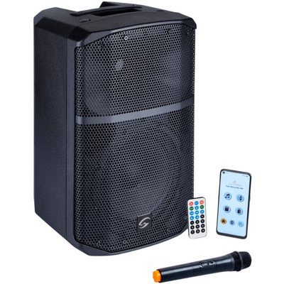 Портативная акустическая система Soundsation Provibe-8AIR