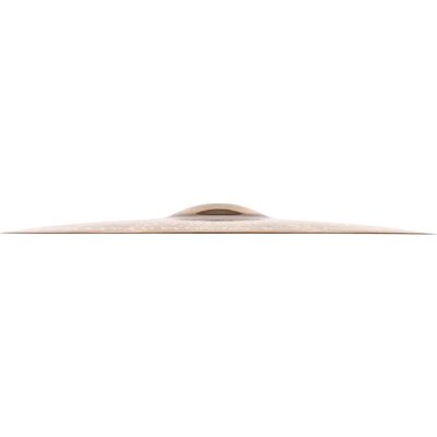 Тарелка Meinl 19" Medium Thin Crash PAC19MTC, изображение 3